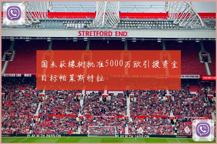 国米获橡树批准5000万欧引援资金目标帕莱斯特拉