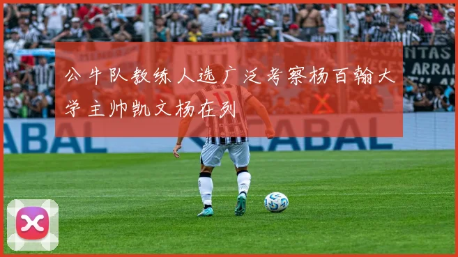公牛队教练人选广泛考察杨百翰大学主帅凯文杨在列
